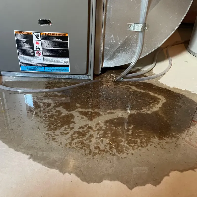 Appliance Leak Cleanup in Franklin County, IN